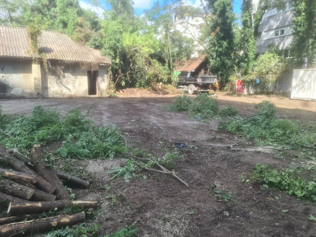 usluge - čišćenje pristupnih puteva i terena