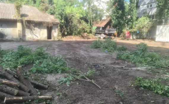 usluge - čišćenje pristupnih puteva i terena