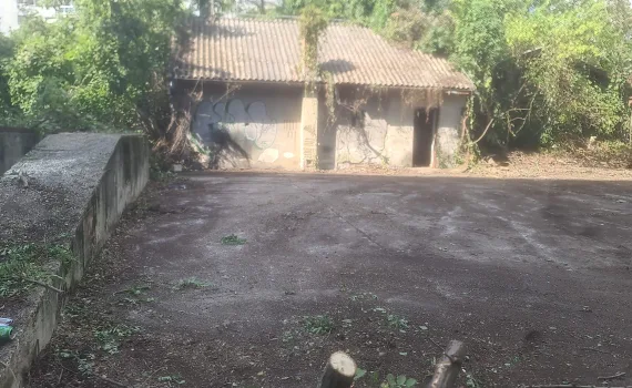 Rezultat čišćenja zapuštenog terena