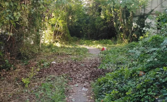 Zapušteni pristupni put