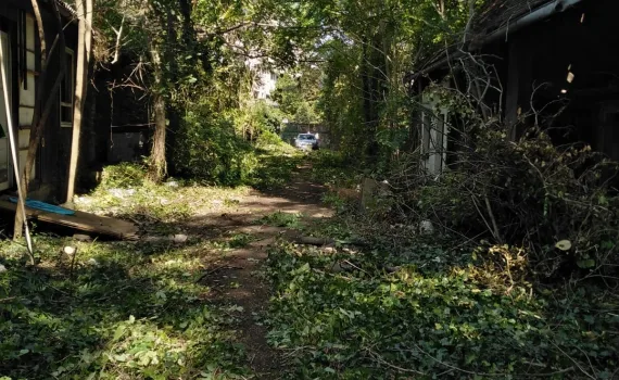 Zapušteni pristupni put