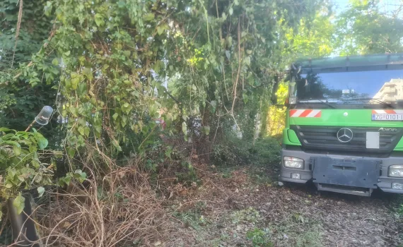 Zapušteni pristupni put