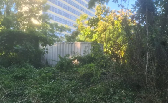 Provedba čišćenja pristupnih puteva i terena